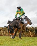 25 January 2015; Jezki, with Tony McCoy up, lands badly after jumping the last during the The BHP Insurances Irish Champion Hurdle. Leopardstown, Co. Dublin. Picture credit: Barry Cregg / SPORTSFILE