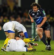 Clint Newland Leinster