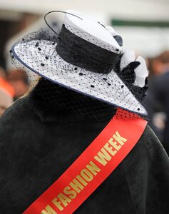 14 March 2012; A hat on view during Ladies Day at the Cheltenham Festival. Cheltenham Racing Festival, Prestbury Park, Cheltenham, England. Picture credit: Brendan Moran / SPORTSFILE - read more