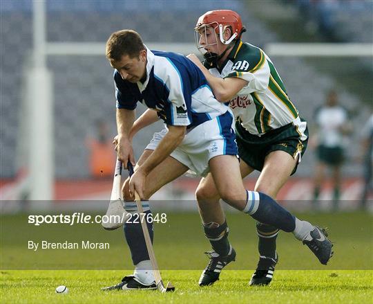 Ireland v Scotland - Senior Men's Hurling Shinty International Ireland v Scotland - Senior Men's Hurling Shinty International