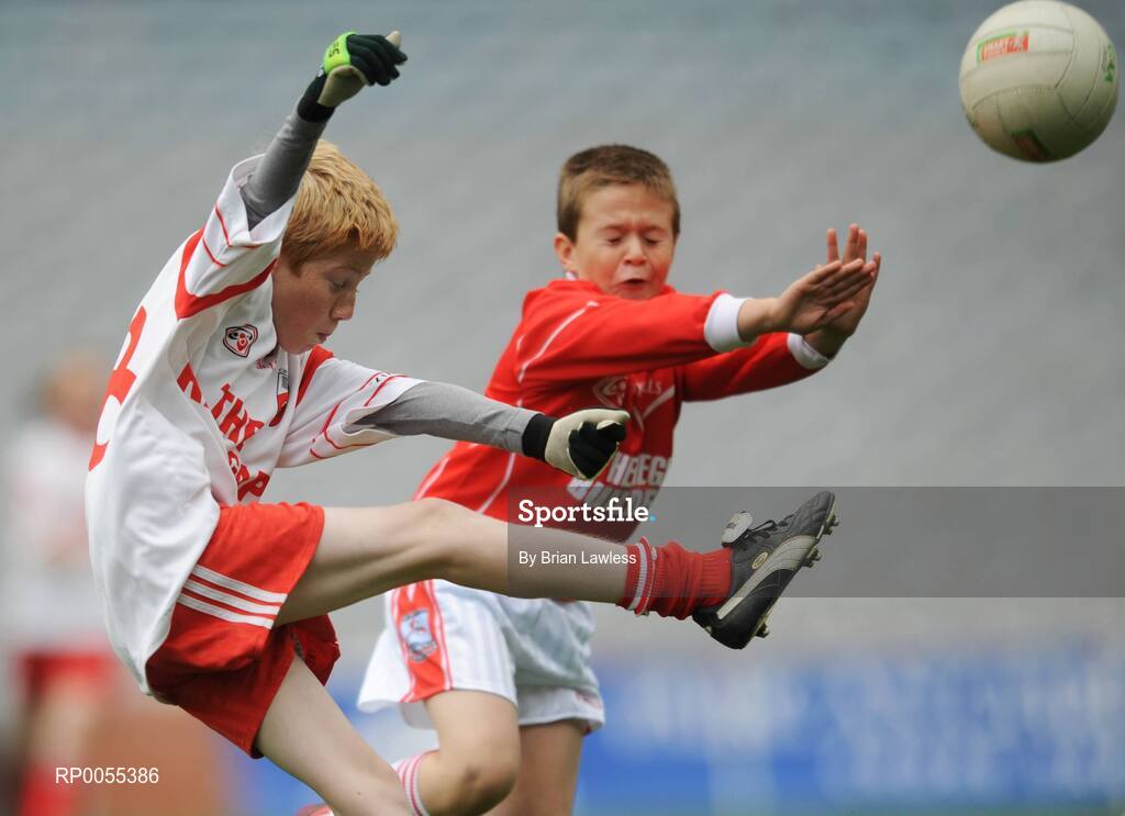 niall cawley