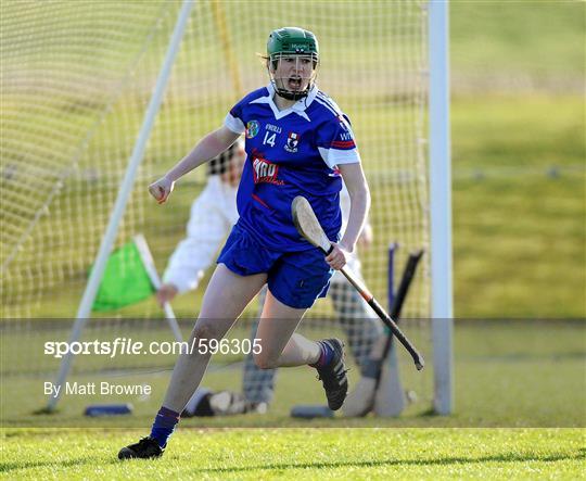 Waterford Institute of Technology v University College Dublin - 2012 Ashbourne Cup Semi-Final B Waterford Institute of Technology v University College Dublin - 2012 Ashbourne Cup Semi-Final B