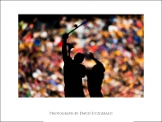 Sportsfile Images of the Year 2018