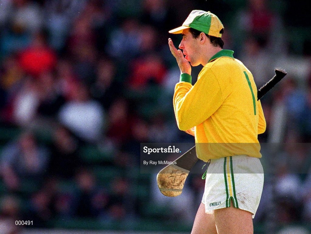 22 June 1997; David Hughes of Offaly during the GAA Leinster Senior Hurling Championship Semi-Final match between Wexford and Offaly at Croke Park in Dublin. Photo by Ray McManus/Sportsfile