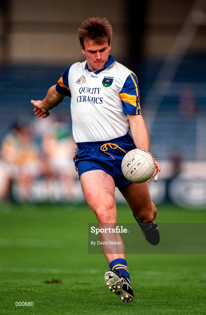 15 June 1997; Fergus Daly of Wicklow during the Leinster GAA Senior Football Championship Quarter-Final match between Offaly and Wicklow at Croke Park in Dublin. Photo by David Maher/Sportsfile