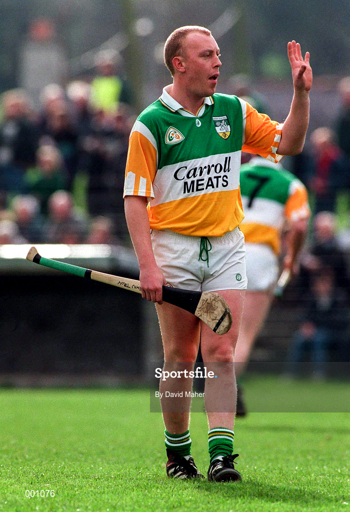 23 March 1997; John Troy of Offaly during the National Hurling League Division 1 match between Offaly and Wexford at St. Brendan's Park in Birr, Offaly. Photo by David Maher/Sportsfile