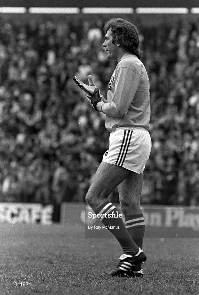 22 March 1983; Northern Ireland goalkeeper Pat Jennings during the UEFA EURO 1984 Qualifier Group 6 match between Northern Ireland and Turkey at Windsor Park in Belfast. Photo by Ray McManus/Sportsfile