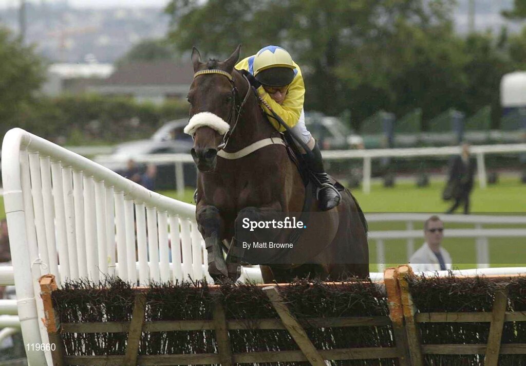 30 July 2003; Direct Bearing, with Paul Carberry up,  jumps the last on their way to winning the HP Services Classic Hurdle. Galway Racing Festival, Ballybrit, Galway. Picture credit; Matt Browne / SPORTSFILE *EDI*