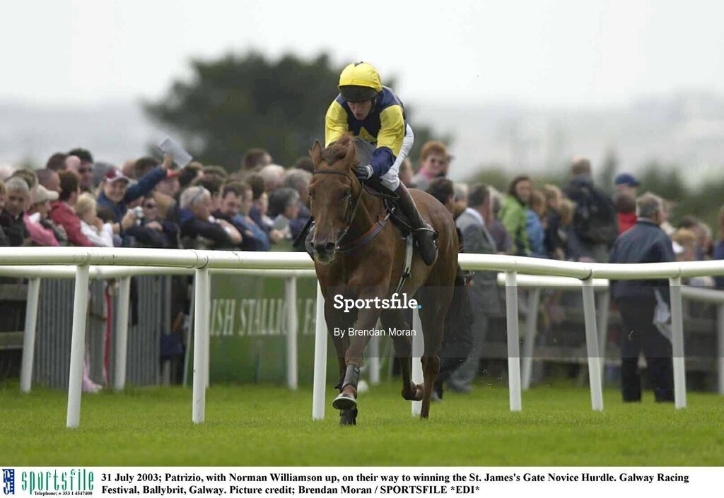 31 July 2003; Patrizio, with Norman Williamson up, on their way to winning the St. James's Gate Novice Hurdle. Galway Racing Festival, Ballybrit, Galway. Picture credit; Brendan Moran / SPORTSFILE *EDI*