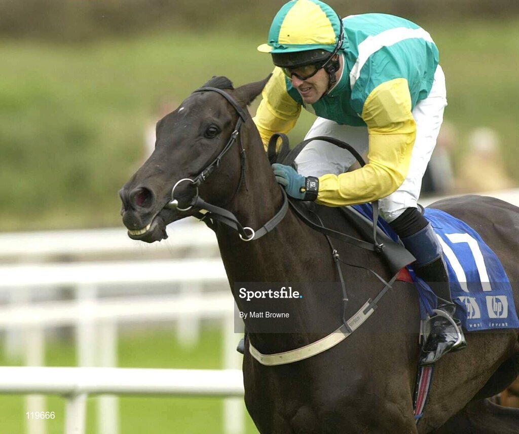 30 July 2003; Nearly A Moose, with Robert Power up, on their way to winning the Hewlett-Packard Galway Plate. Galway Racing Festival, Ballybrit, Galway. Picture credit; Matt Browne / SPORTSFILE *EDI*