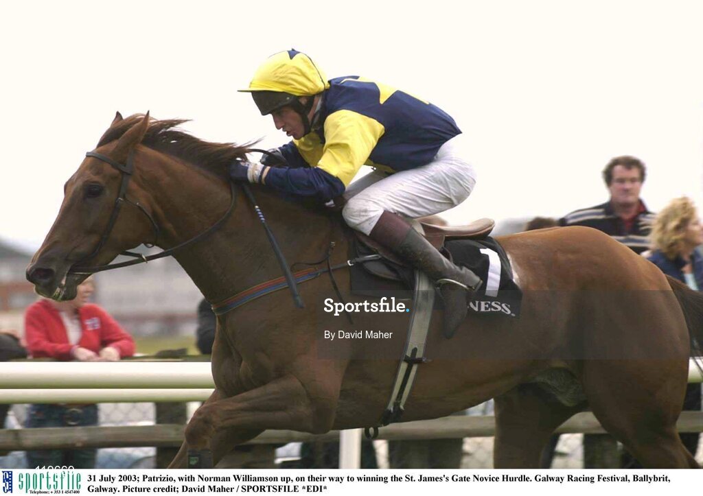 31 July 2003; Patrizio, with Norman Williamson up, on their way to winning the St. James's Gate Novice Hurdle. Galway Racing Festival, Ballybrit, Galway. Picture credit; David Maher / SPORTSFILE *EDI*