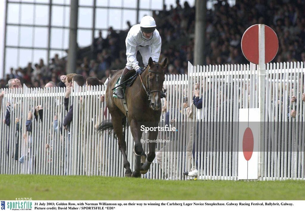 31 July 2003; Golden Row, with Norman Williamson up, on their way to winning the Carlsberg Lager Novice Steeplechase. Galway Racing Festival, Ballybrit, Galway. Picture credit; David Maher / SPORTSFILE *EDI*
