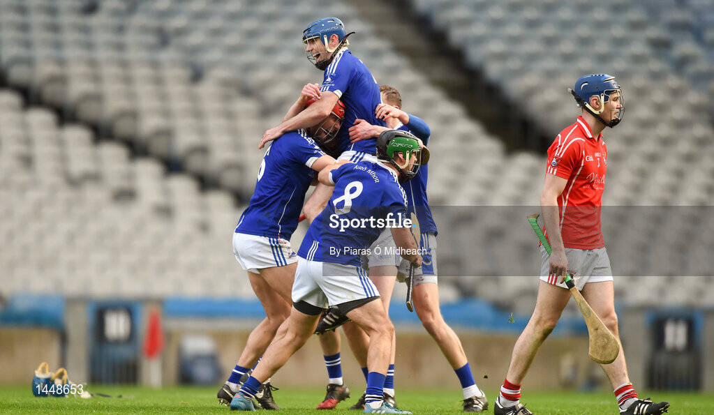 4 February 2018; Ardmore players celebrate after the game aside of a dejected Ruairí Tubrid of Fethard St Mogues at the AIB GAA Hurling All-Ireland Junior Club Championship Final match between Ardmore and Fethard St Mogues at Croke Park in Dublin. Photo by Piaras Ó Mídheach/Sportsfile