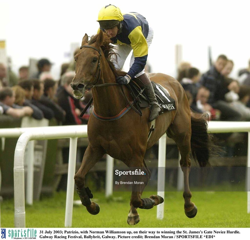 31 July 2003; Patrizio, with Norman Williamson up, on their way to winning the St. James's Gate Novice Hurdle. Galway Racing Festival, Ballybrit, Galway. Picture credit; Brendan Moran / SPORTSFILE *EDI*
