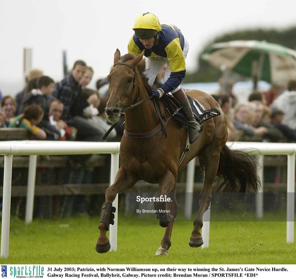 31 July 2003; Patrizio, with Norman Williamson up, on their way to winning the St. James's Gate Novice Hurdle. Galway Racing Festival, Ballybrit, Galway. Picture credit; Brendan Moran / SPORTSFILE *EDI*
