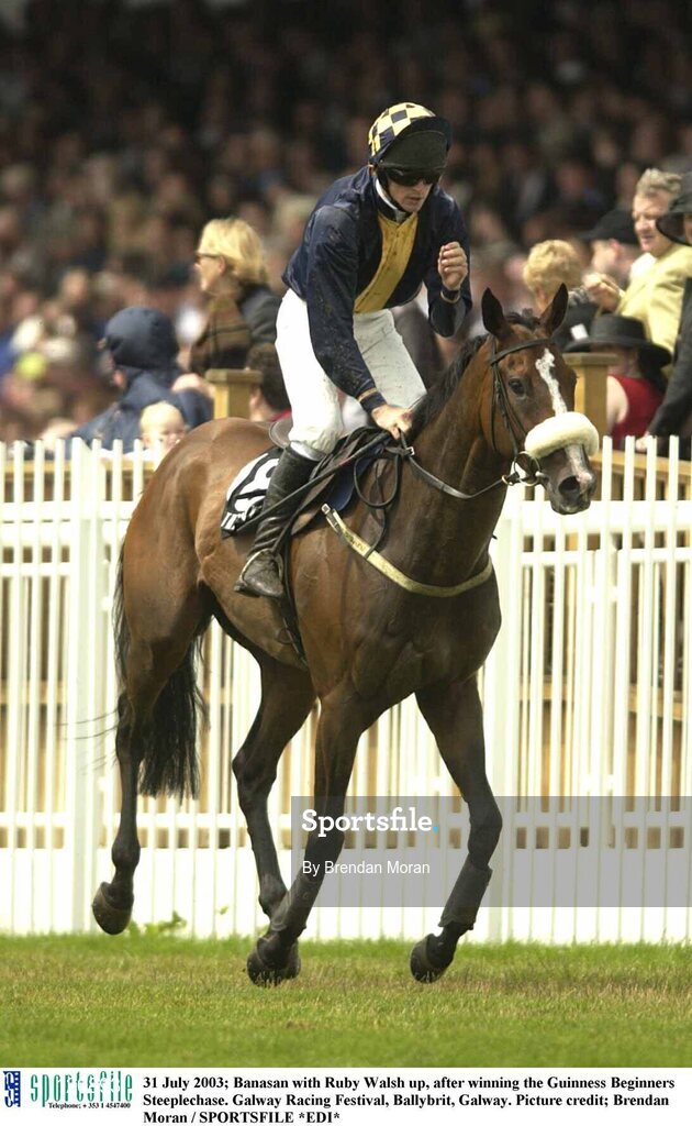 31 July 2003; Banasan with Ruby Walsh up, after winning the Guinness Beginners Steeplechase. Galway Racing Festival, Ballybrit, Galway. Picture credit; Brendan Moran / SPORTSFILE *EDI*