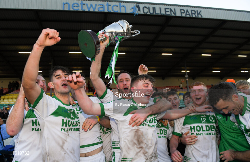 2 December 2018; Ballyhale Shamrocks captain Michael Fennelly and his team mates celebrate with the cup after the AIB Leinster GAA Hurling Senior Club Championship Final match Ballyboden St Enda's and Ballyhale Shamrocks at Netwatch Cullen Park in Carlow. Photo by Piaras Ó Mídheach/Sportsfile