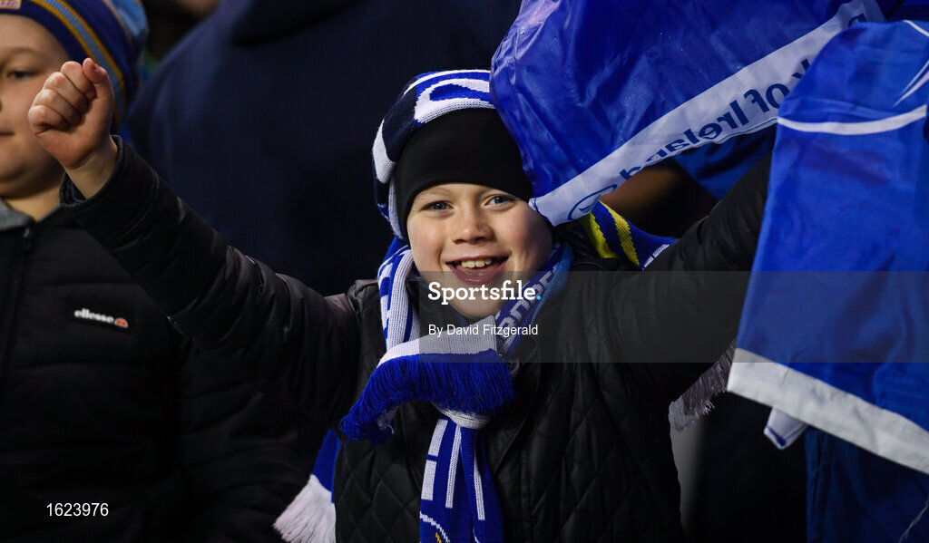 15 December 2018; Leinster supporters celebrate their side's sixth try scored by Jamison Gibson-Park during the Heineken Champions Cup Pool 1 Round 4 match between Leinster and Bath at the Aviva Stadium in Dublin. Photo by David Fitzgerald/Sportsfile
