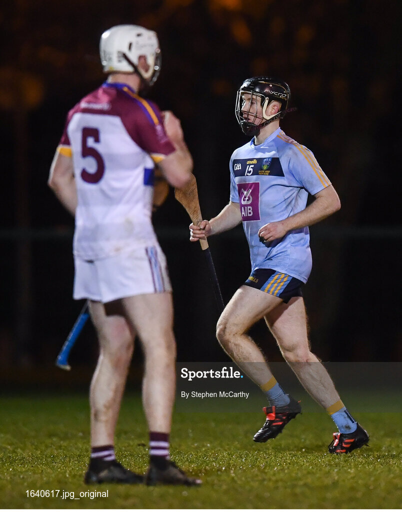 31 January 2019; Sean Carey of UCD and his brother Michael Carey of UL the Electric Ireland Fitzgibbon Cup Group A Round 3 match between University College Dublin and University of Limerick at Billings Park in Belfield, Dublin. Photo by Stephen McCarthy/Sportsfile