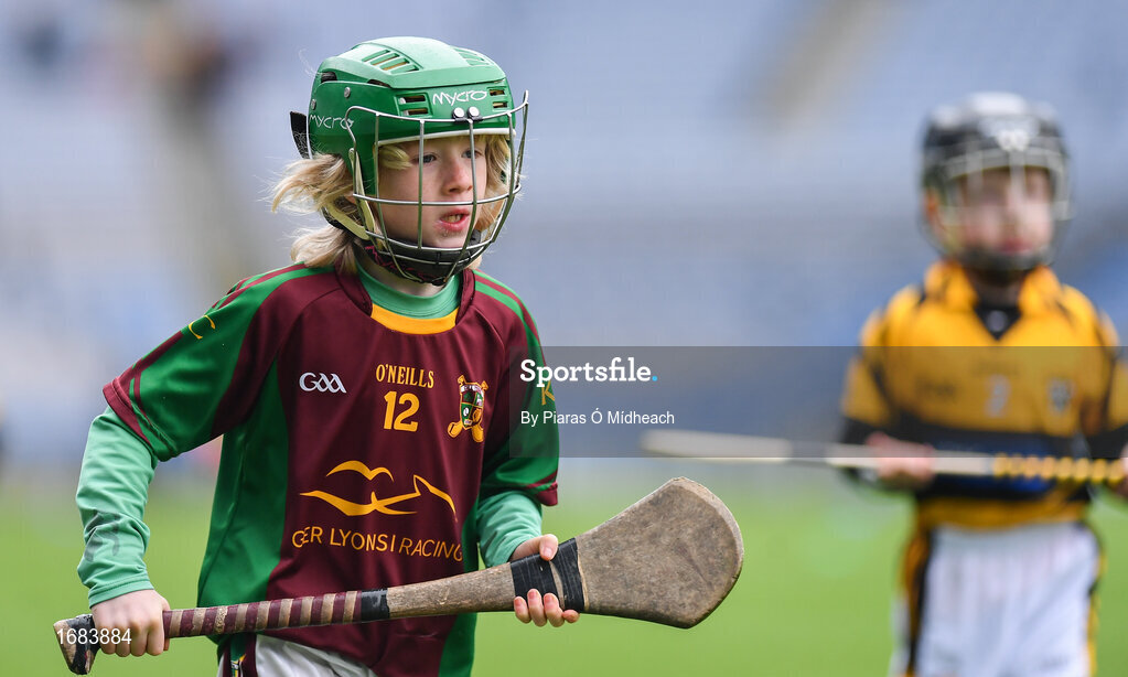 14 April 2019; Tom McVann of Kiltale, Co Meath, during the Littlewoods Ireland Go Games Provincial Days in Croke Park. This year over 6,000 boys and girls aged between six and twelve represented their clubs in a series of mini blitzes and just like their heroes got to play in Croke Park. Photo by Piaras Ó Mídheach/Sportsfile