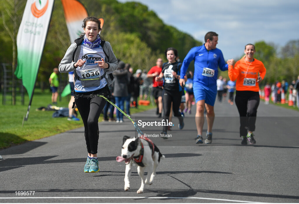 4 May 2019; Kate Wray and her dog competing at the Irish Runner 5k in conjunction with the AAI National 5k Championships, Phoenix Park in Dublin. Photo by Brendan Moran/Sportsfile