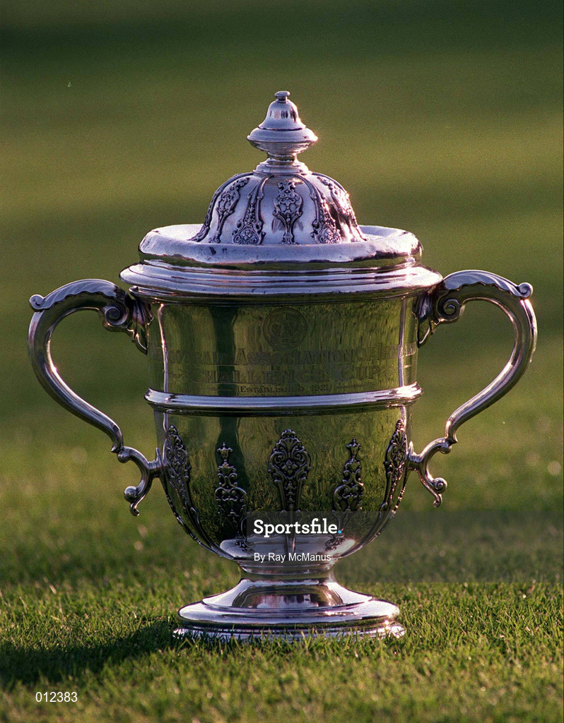 26 January 1995; A general view of the FAI Challenge Cup. Photo by Ray McManus/Sportsfile