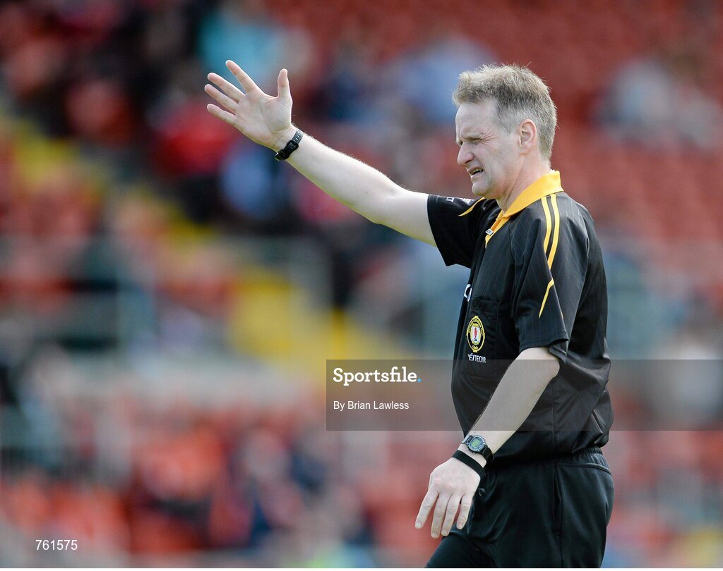16 June 2013; Owen Elliott, referee. Ulster GAA Hurling Senior Championship Quarter-Final, Down v Armagh, Páirc Esler, Newry, Co. Down. Picture credit: Brian Lawless / SPORTSFILE