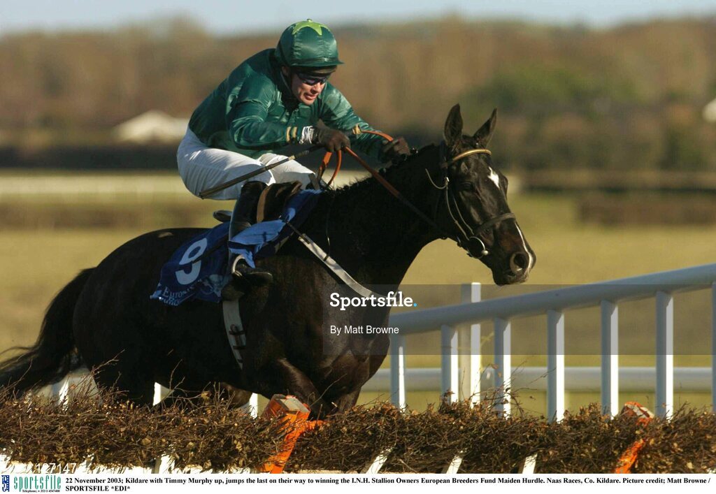 22 November 2003; Kildare with Timmy Murphy up, jumps the last on their way to winning the I.N.H. Stallion Owners European Breeders Fund Maiden Hurdle. Naas Races, Co. Kildare. Picture credit; Matt Browne / SPORTSFILE *EDI*
