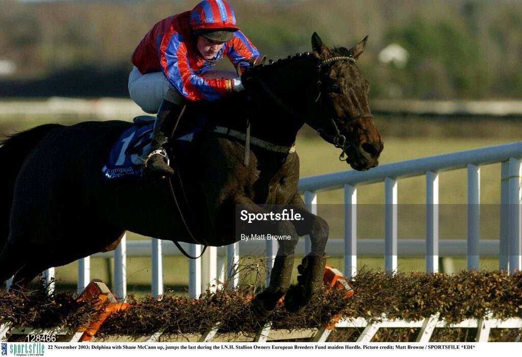 22 November 2003; Delphina with Shane McCann up, jumps the last during the I.N.H. Stallion Owners European Breeders Fund maiden Hurdle. Picture credit; Matt Browne / SPORTSFILE *EDI*
