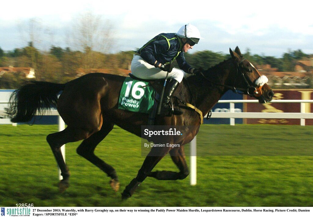 27 December 2003; Waterlily, with Barry Geraghty up, on their way to winning the Paddy Power Maiden Hurdle, Leopardstown Racecourse, Dublin. Horse Racing. Picture Credit; Damien Eagers / SPORTSFILE *EDI*