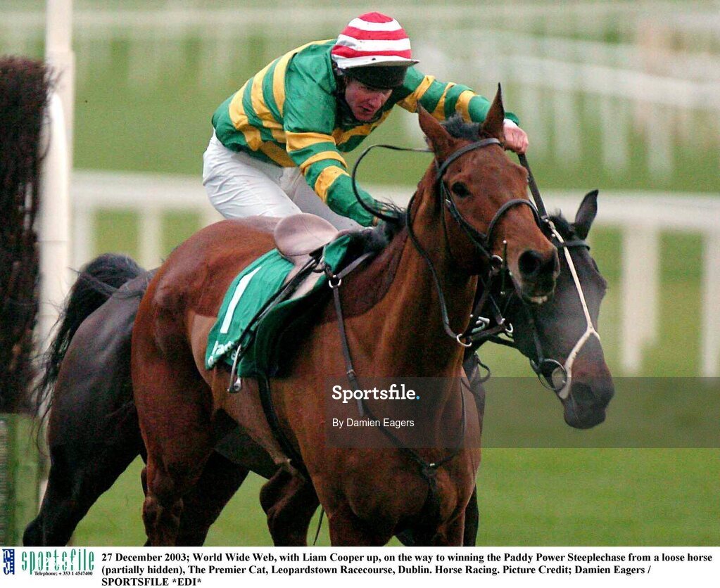27 December 2003; World Wide Web, with Liam Cooper up, on the way to winning the Paddy Power Steeplechase from a loose horse (partially hidden), The Premier Cat, Leopardstown Racecourse, Dublin. Horse Racing. Picture Credit; Damien Eagers / SPORTSFILE *EDI*