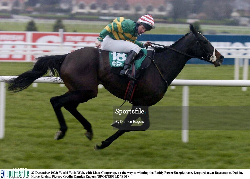 27 December 2003; World Wide Web, with Liam Cooper up, on the way to winning the Paddy Power Steeplechase, Leopardstown Racecourse, Dublin. Horse Racing. Picture Credit; Damien Eagers / SPORTSFILE *EDI*