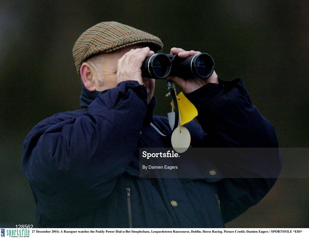 27 December 2003; A Racegoer watches the Paddy Power Dial-a-Bet Steeplechase, Leopardstown Racecourse, Dublin. Horse Racing. Picture Credit; Damien Eagers / SPORTSFILE *EDI*