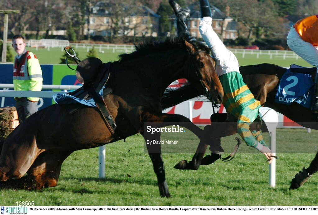 28 December 2003; Adarma, with Alan Crowe up, falls at the first fence during the Durkan New Homes Hurdle, Leopardstown Racecourse, Dublin. Horse Racing. Picture Credit; David Maher / SPORTSFILE *EDI*