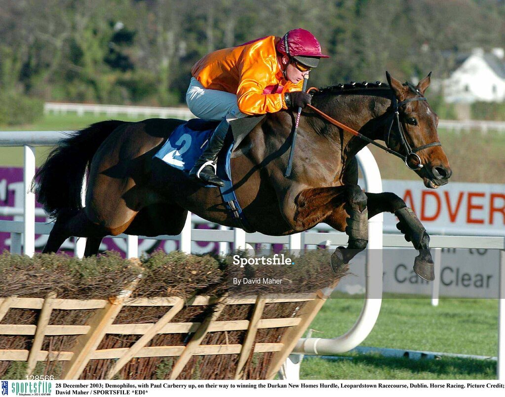 28 December 2003; Demophilos, with Paul Carberry up, on their way to winning the Durkan New Homes Hurdle, Leopardstown Racecourse, Dublin. Horse Racing. Picture Credit; David Maher / SPORTSFILE *EDI*