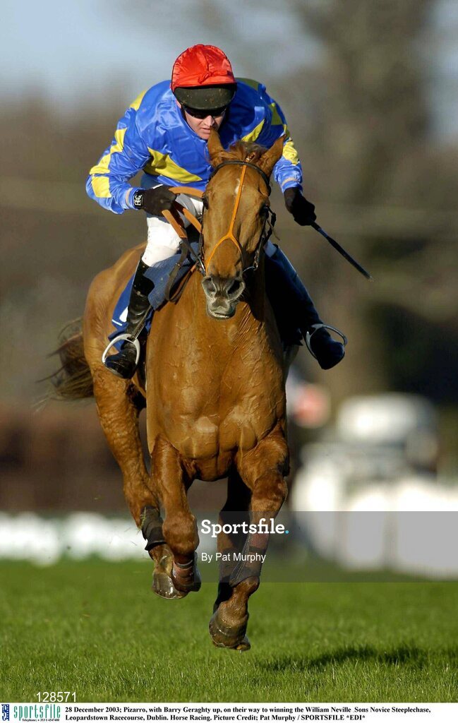 28 December 2003; Pizarro, with Barry Geraghty up, on their way to winning the William Neville & Sons Novice Steeplechase, Leopardstown Racecourse, Dublin. Horse Racing. Picture Credit; Pat Murphy / SPORTSFILE *EDI*