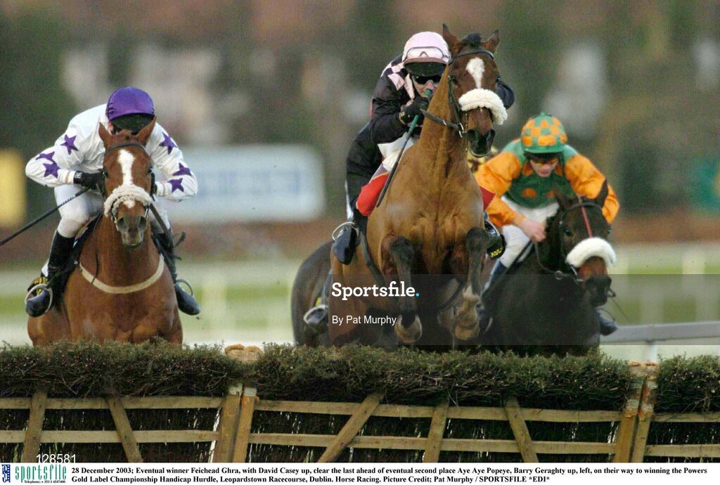 28 December 2003; Eventual winner Feichead Ghra, with David Casey up, clear the last ahead of eventual second place Aye Aye Popeye, Barry Geraghty up, left, on their way to winning the Powers Gold Label Championship Handicap Hurdle, Leopardstown Racecourse, Dublin. Horse Racing. Picture Credit; Pat Murphy / SPORTSFILE *EDI*