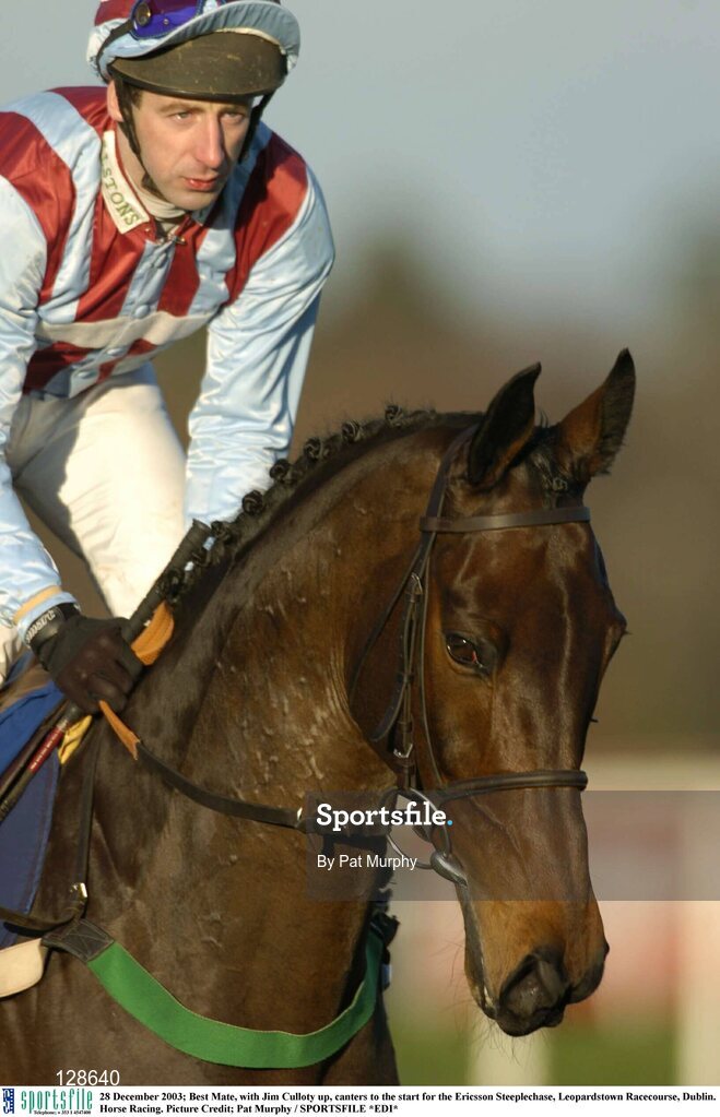 28 December 2003; Best Mate, with Jim Culloty up, canters to the start for the Ericsson Steeplechase, Leopardstown Racecourse, Dublin. Horse Racing. Picture Credit; Pat Murphy / SPORTSFILE *EDI*