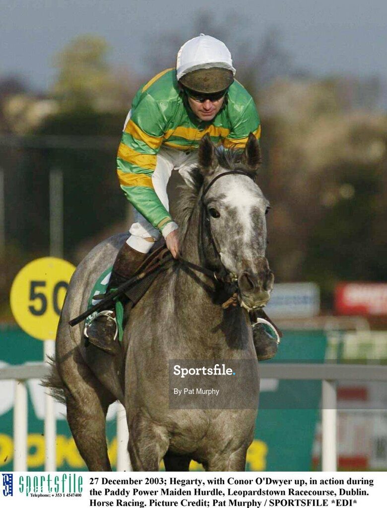 27 December 2003; Hegarty, with Conor O'Dwyer up, in action during the Paddy Power Maiden Hurdle, Leopardstown Racecourse, Dublin. Horse Racing. Picture Credit; Pat Murphy / SPORTSFILE *EDI*