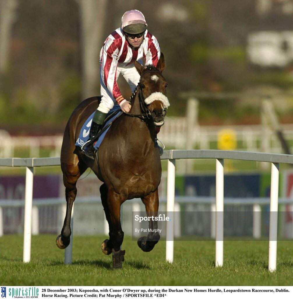 28 December 2003; Kopoosha, with Conor O'Dwyer up, during the Durkan New Homes Hurdle, Leopardstown Racecourse, Dublin. Horse Racing. Picture Credit; Pat Murphy / SPORTSFILE *EDI*