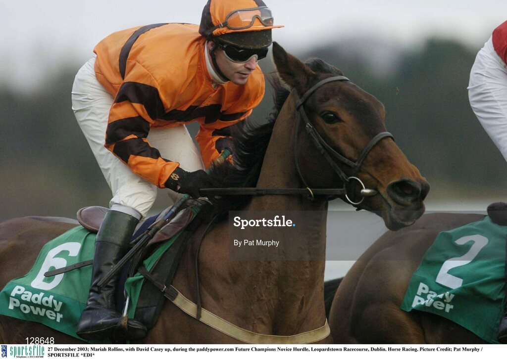 27 December 2003; Mariah Rollins, with David Casey up, during the paddypower.com Future Champions Novice Hurdle, Leopardstown Racecourse, Dublin. Horse Racing. Picture Credit; Pat Murphy / SPORTSFILE *EDI*