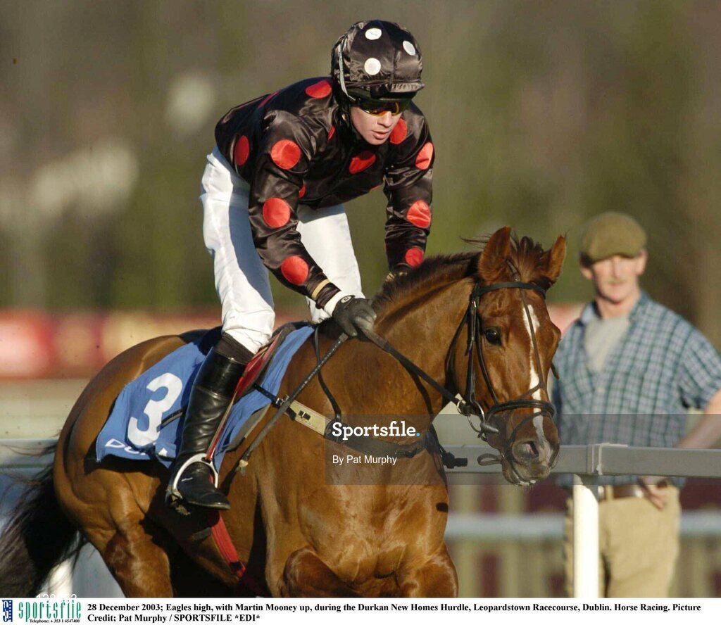 28 December 2003; Eagles high, with Martin Mooney up, during the Durkan New Homes Hurdle, Leopardstown Racecourse, Dublin. Horse Racing. Picture Credit; Pat Murphy / SPORTSFILE *EDI*