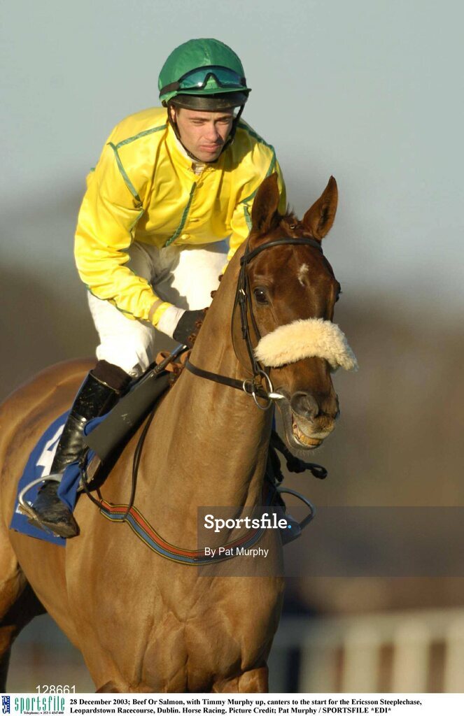 28 December 2003; Beef Or Salmon, with Timmy Murphy up, canters to the start for the Ericsson Steeplechase, Leopardstown Racecourse, Dublin. Horse Racing. Picture Credit; Pat Murphy / SPORTSFILE *EDI*
