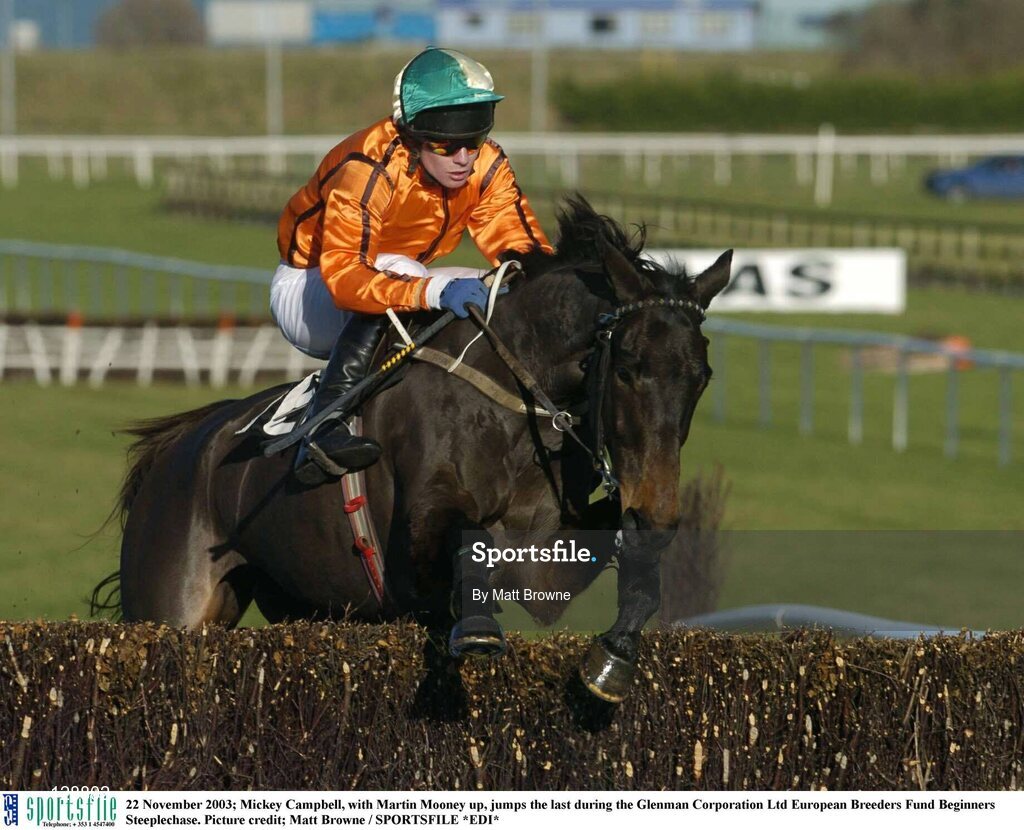 22 November 2003; Mickey Campbell, with Martin Mooney up, jumps the last during the Glenman Corporation Ltd European Breeders Fund Beginners Steeplechase. Picture credit; Matt Browne / SPORTSFILE *EDI*