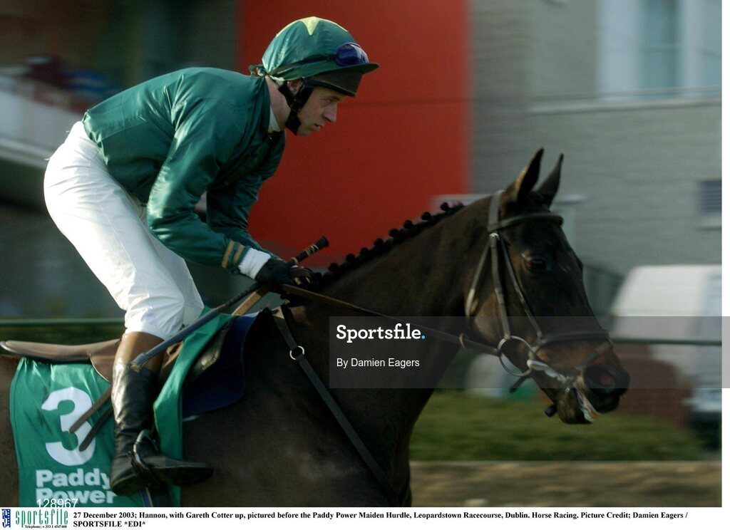 27 December 2003; Hannon, with Gareth Cotter up, pictured before the Paddy Power Maiden Hurdle, Leopardstown Racecourse, Dublin. Horse Racing. Picture Credit; Damien Eagers / SPORTSFILE *EDI*
