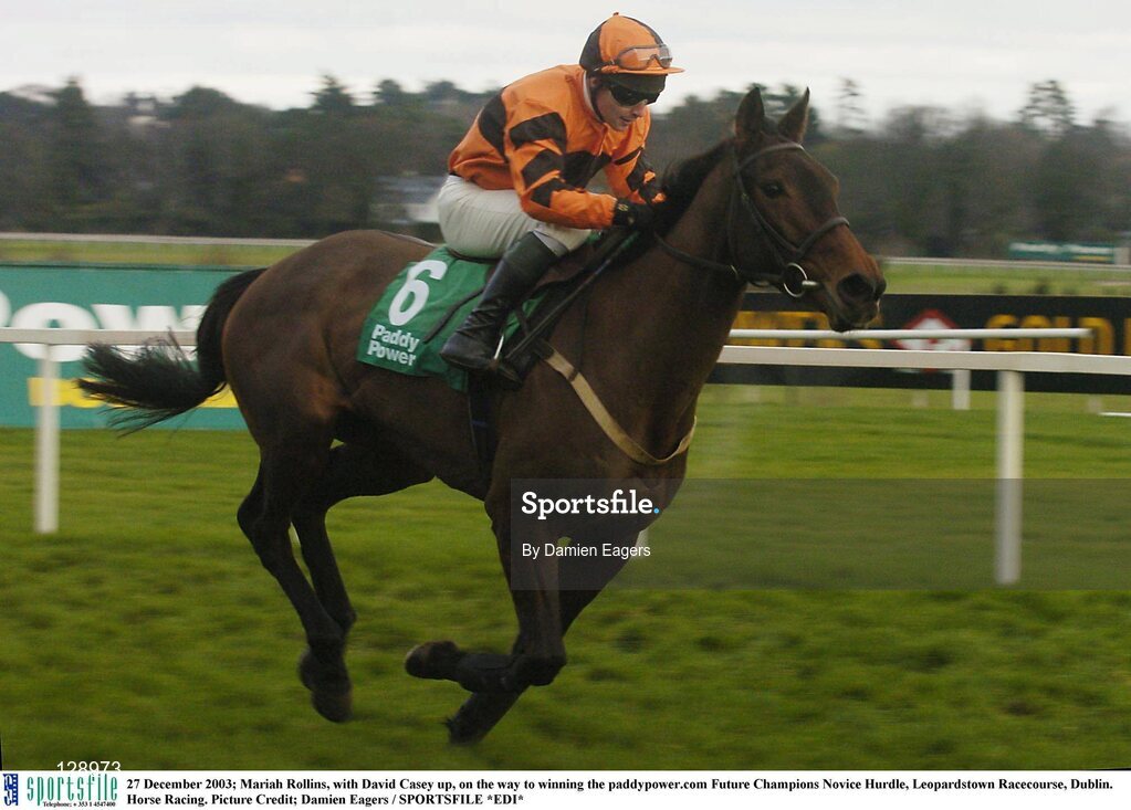27 December 2003; Mariah Rollins, with David Casey up, on the way to winning the paddypower.com Future Champions Novice Hurdle, Leopardstown Racecourse, Dublin. Horse Racing. Picture Credit; Damien Eagers / SPORTSFILE *EDI*