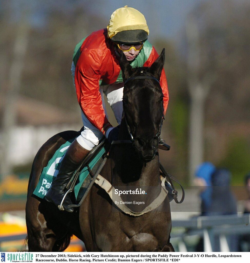 27 December 2003; Sidekick, with Gary Hutchinson up, pictured during the Paddy Power Festival 3-Y-O Hurdle, Leopardstown Racecourse, Dublin. Horse Racing. Picture Credit; Damien Eagers / SPORTSFILE *EDI*