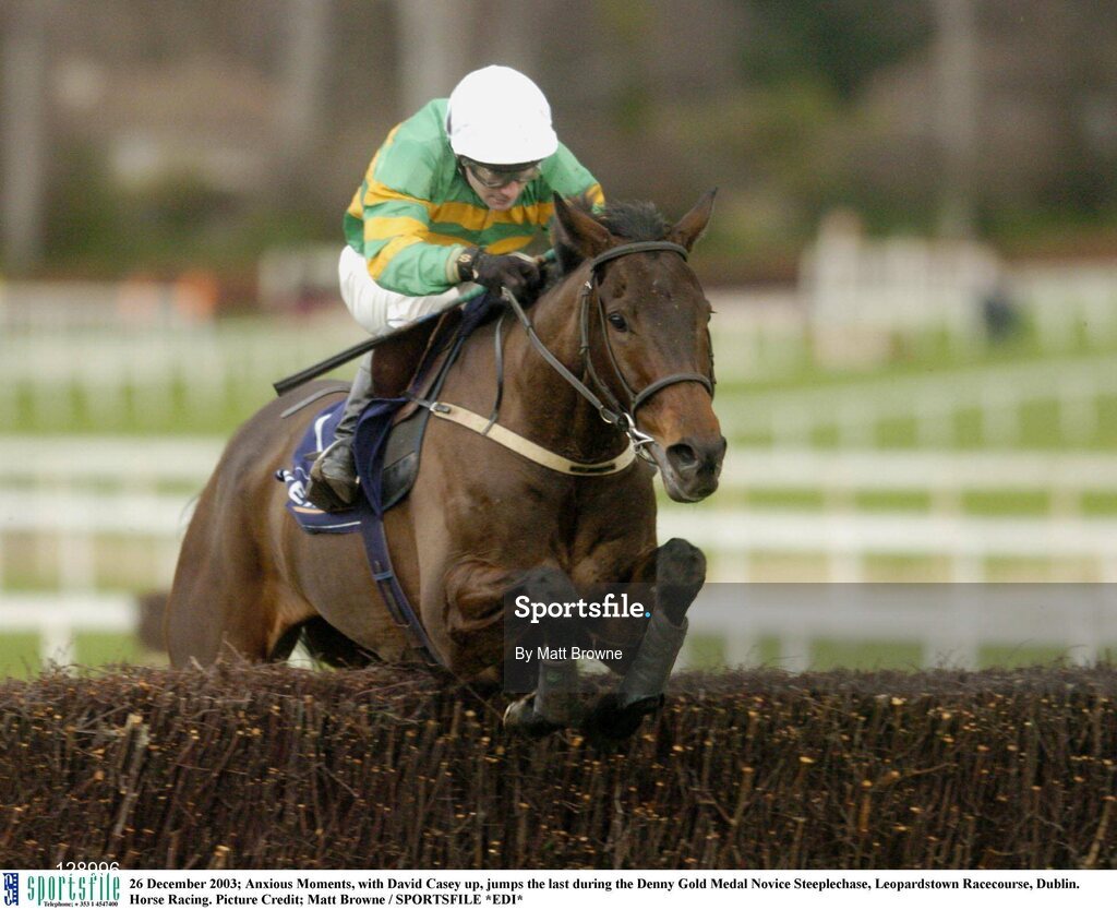 26 December 2003; Anxious Moments, with David Casey up, jumps the last during the Denny Gold Medal Novice Steeplechase, Leopardstown Racecourse, Dublin. Horse Racing. Picture Credit; Matt Browne / SPORTSFILE *EDI*