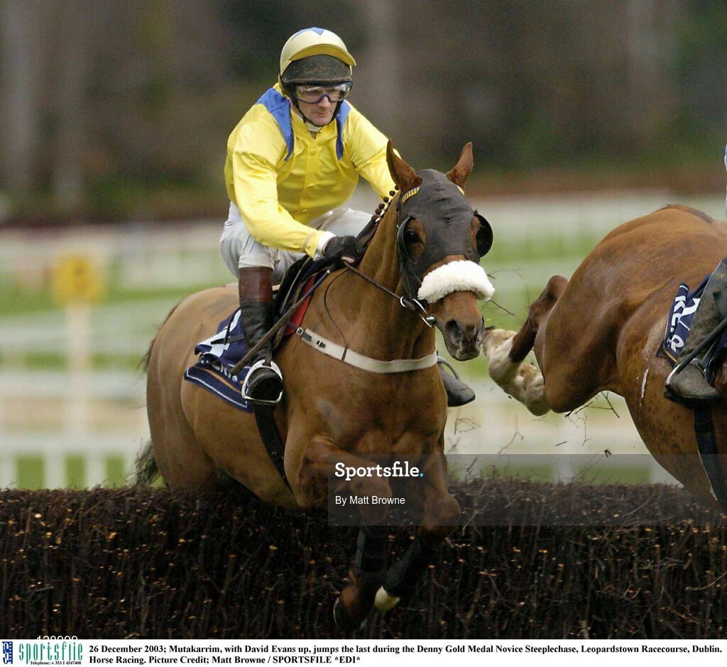 26 December 2003; Mutakarrim, with David Evans up, jumps the last during the Denny Gold Medal Novice Steeplechase, Leopardstown Racecourse, Dublin. Horse Racing. Picture Credit; Matt Browne / SPORTSFILE *EDI*