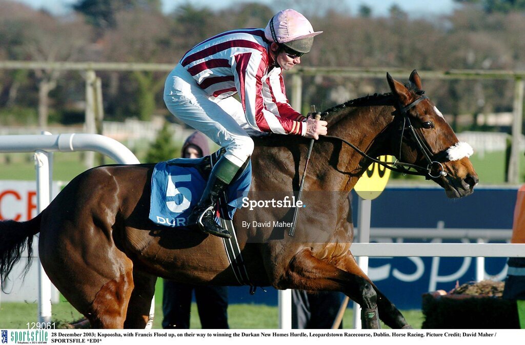 28 December 2003; Kopoosha, with Francis Flood up, on their way to winning the Durkan New Homes Hurdle, Leopardstown Racecourse, Dublin. Horse Racing. Picture Credit; David Maher / SPORTSFILE *EDI*